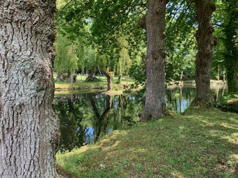 La Demeure Romantique Bazouges-sous-Hede Luaran gambar