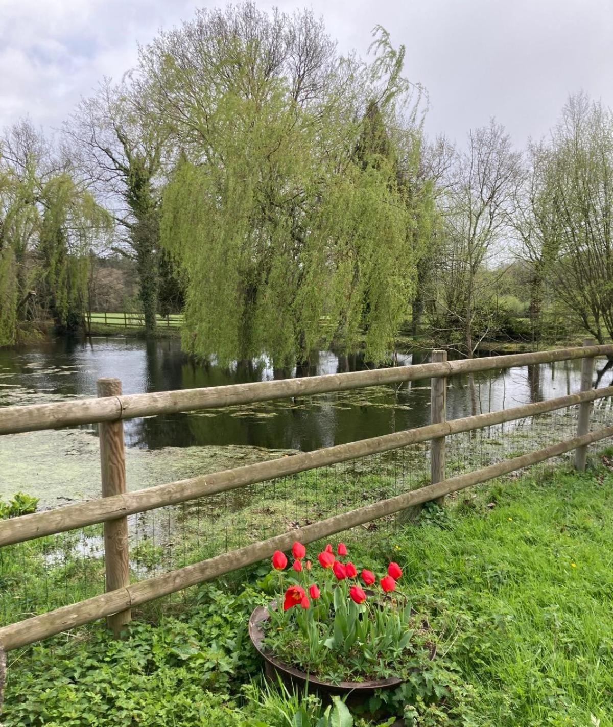 La Demeure Romantique Bazouges-sous-Hede Luaran gambar
