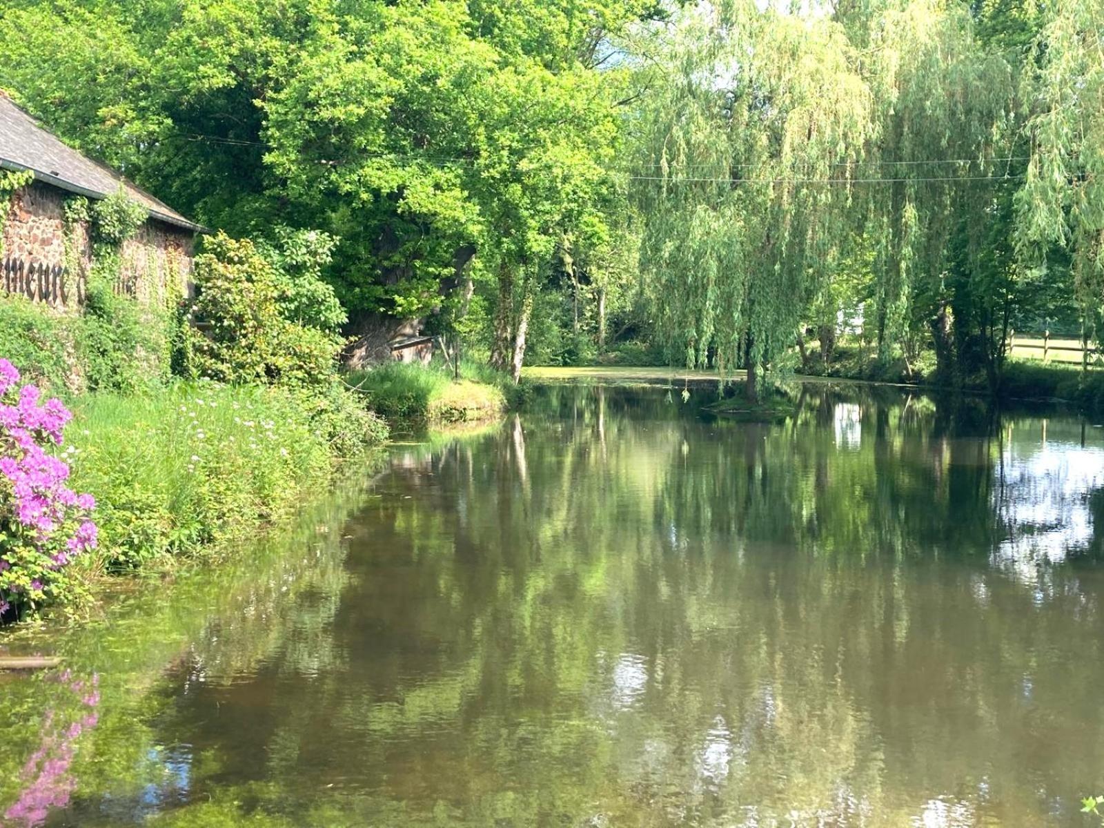 La Demeure Romantique Bazouges-sous-Hede Luaran gambar